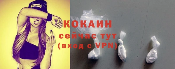 кокс Алексин