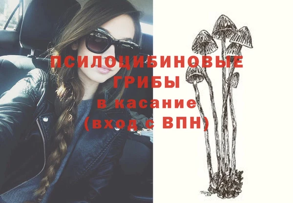 СК Переславль-Залесский