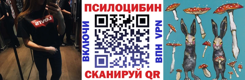как найти закладки Ивдель Галлюциногенные грибы Psilocybe